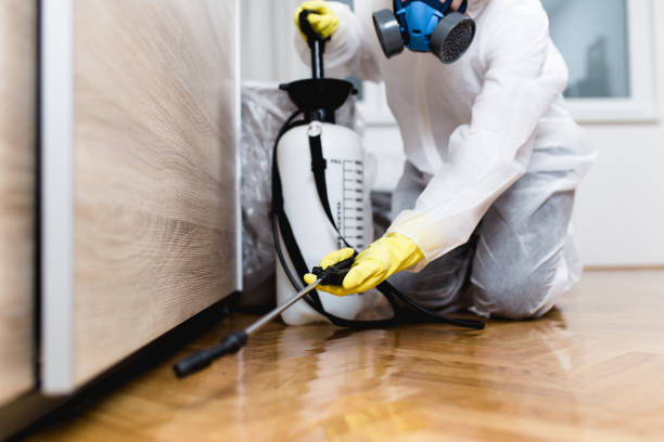 Best Affordable Pest Control Services  in Stratford, NJ
