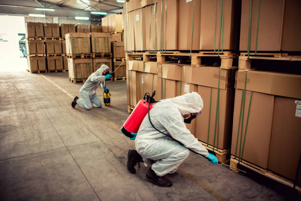 Best Pest Control Near Me  in Stratford, NJ