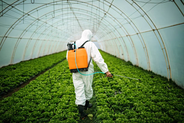Best Local Pest Control Services  in Stratford, NJ