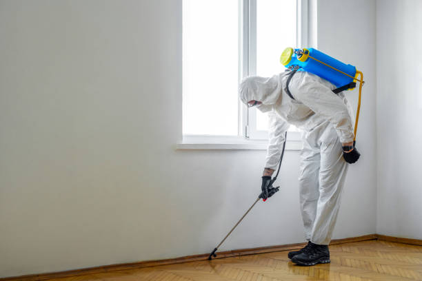 Best Wasp Removal Services  in Stratford, NJ